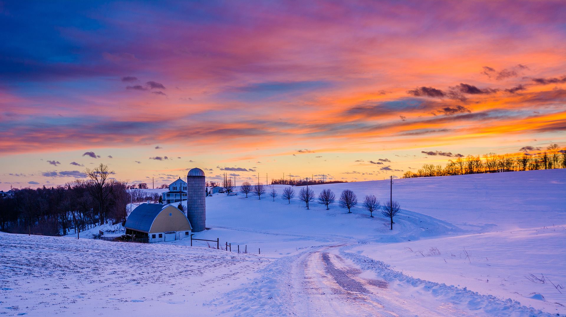 Snowy Field